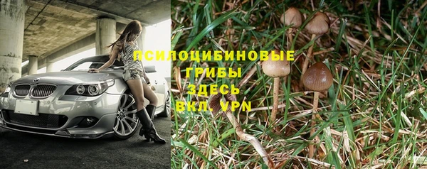 эйфоретик Заволжье