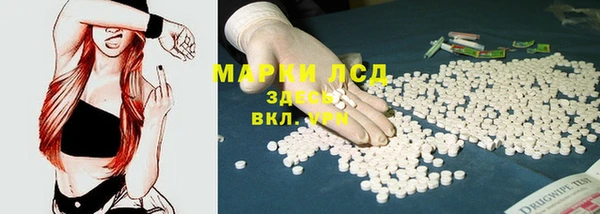 молекула духа Елабуга